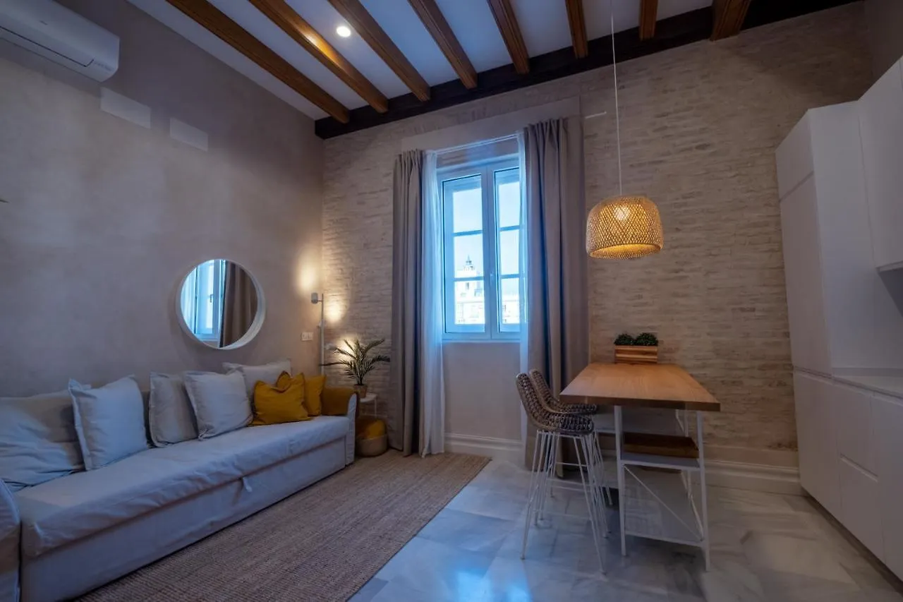 Inncadizcasa Apolo
